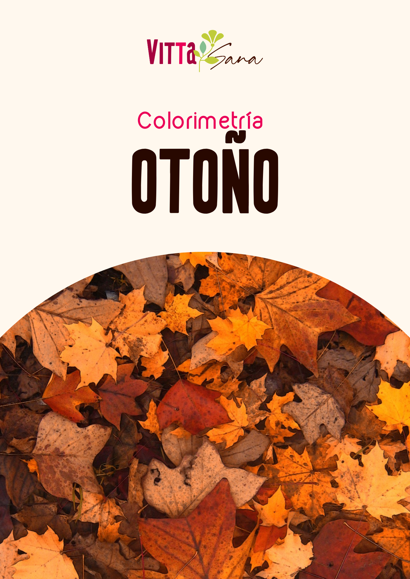 Otoño - Paleta de colores